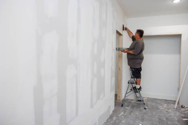Best Attic Mold Removal  in Roanoke, TX