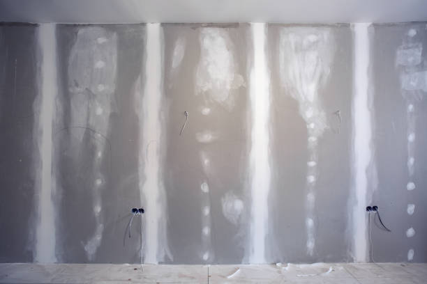 Best Water Damage & Mold Remediation  in Roanoke, TX